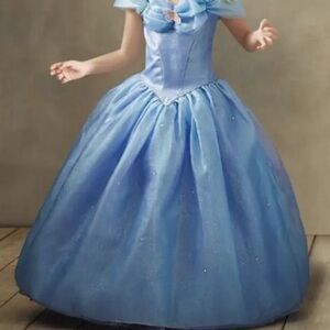 Disney x Chasing Fireflies Deluxe Cinderella Butterfly Gown Dress Costume 14